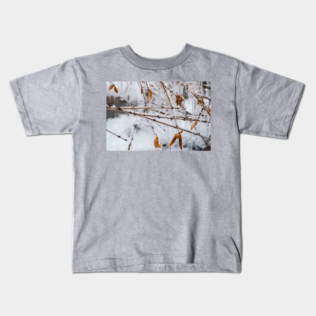 Ice Melts Kids T-Shirt by gdb2